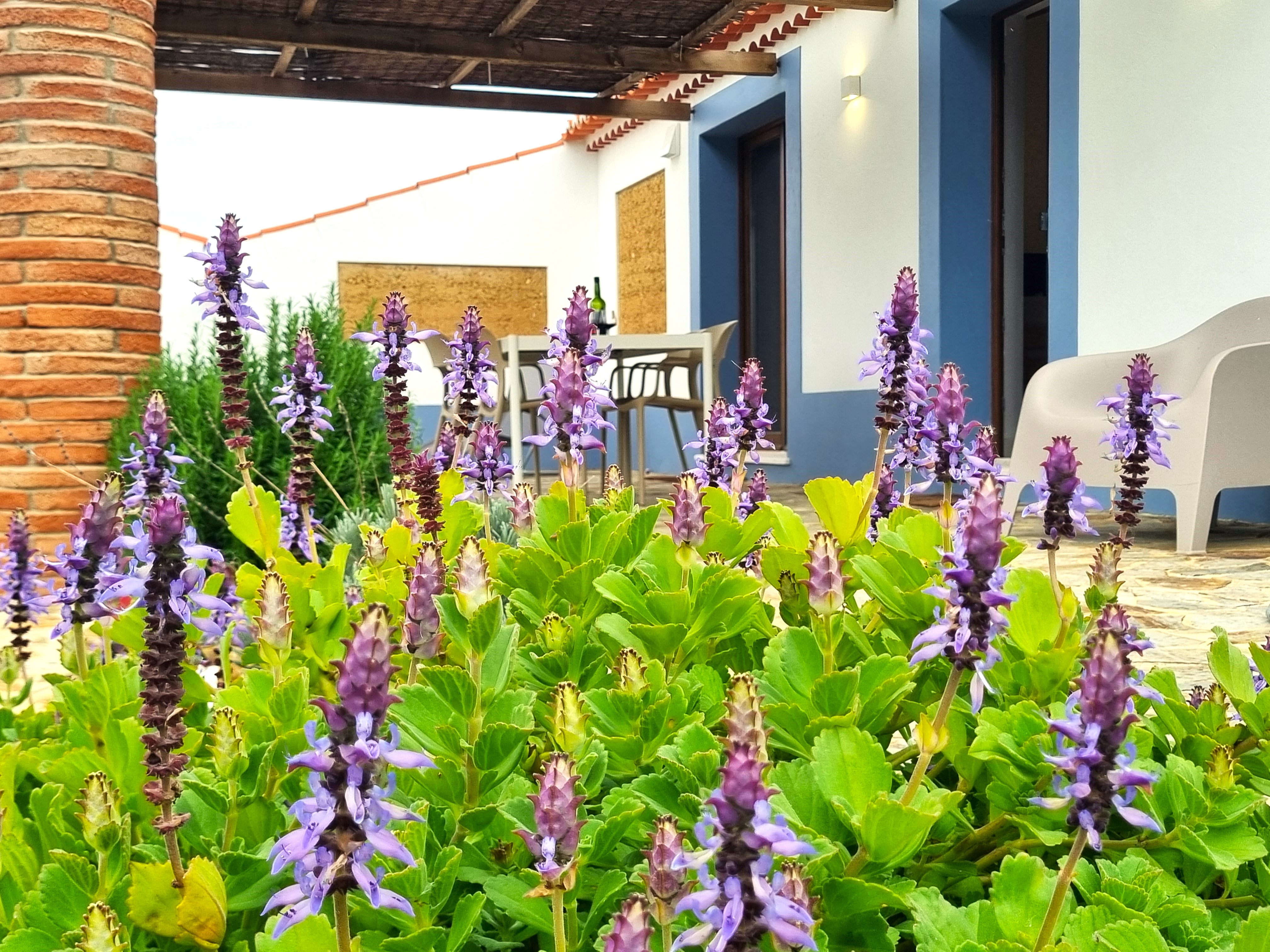 RETIRO DOS GUERREIROS by Stay in Alentejo